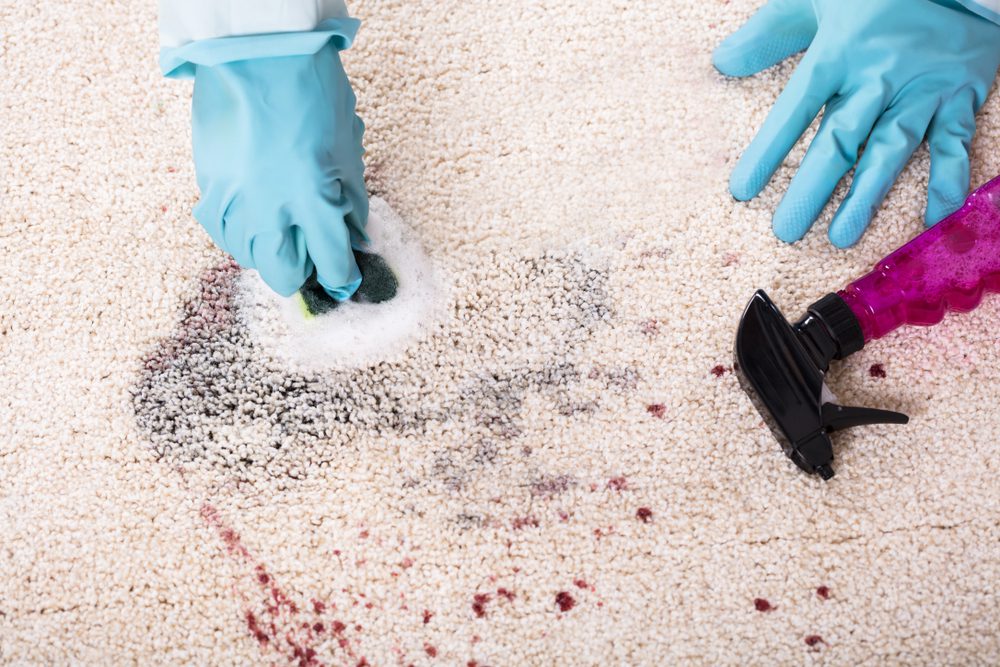 Rugs_Deeply Cleaned and Revitalized Rugs Rugs_Deeply Cleaned and Revitalized Rugs
