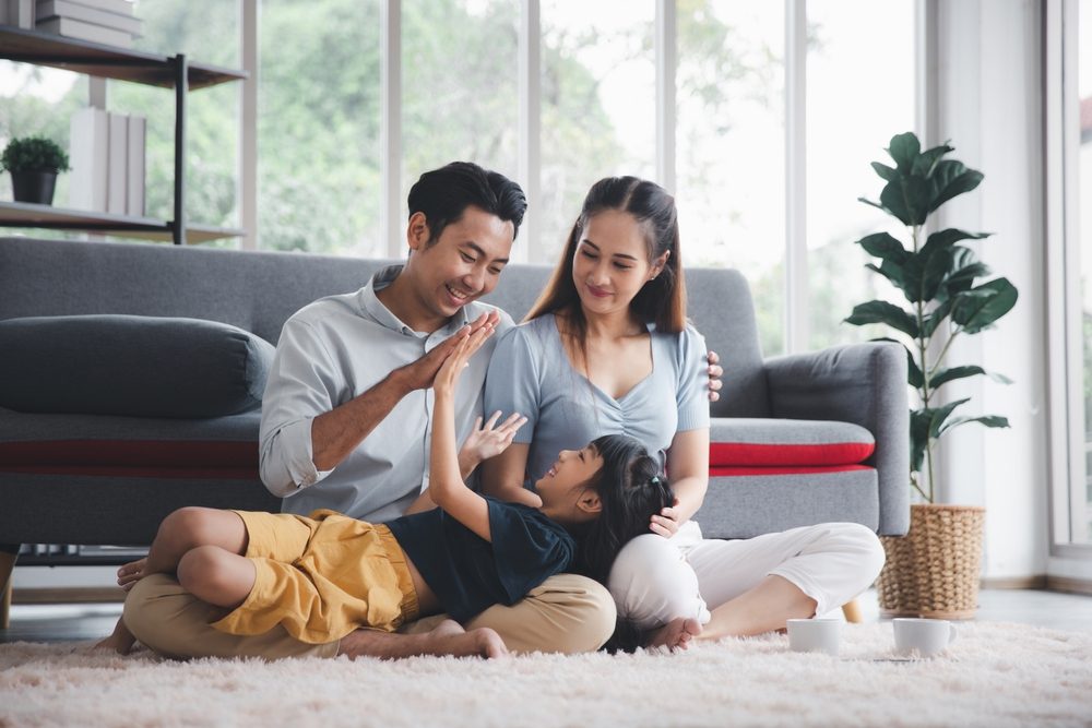 Rugs_Healthier Indoor Environment Rugs_Healthier Indoor Environment